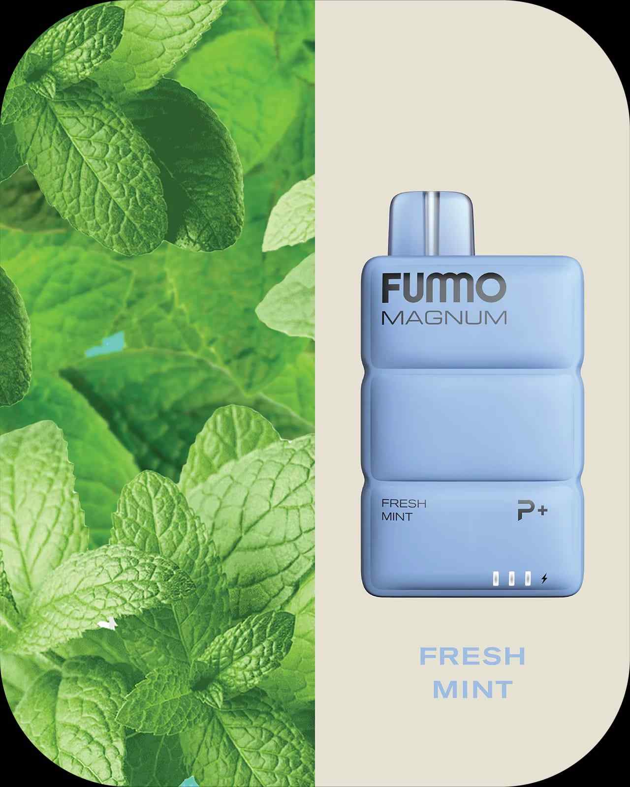 Fummo Magnum Fresh Mint vape with mint leaves