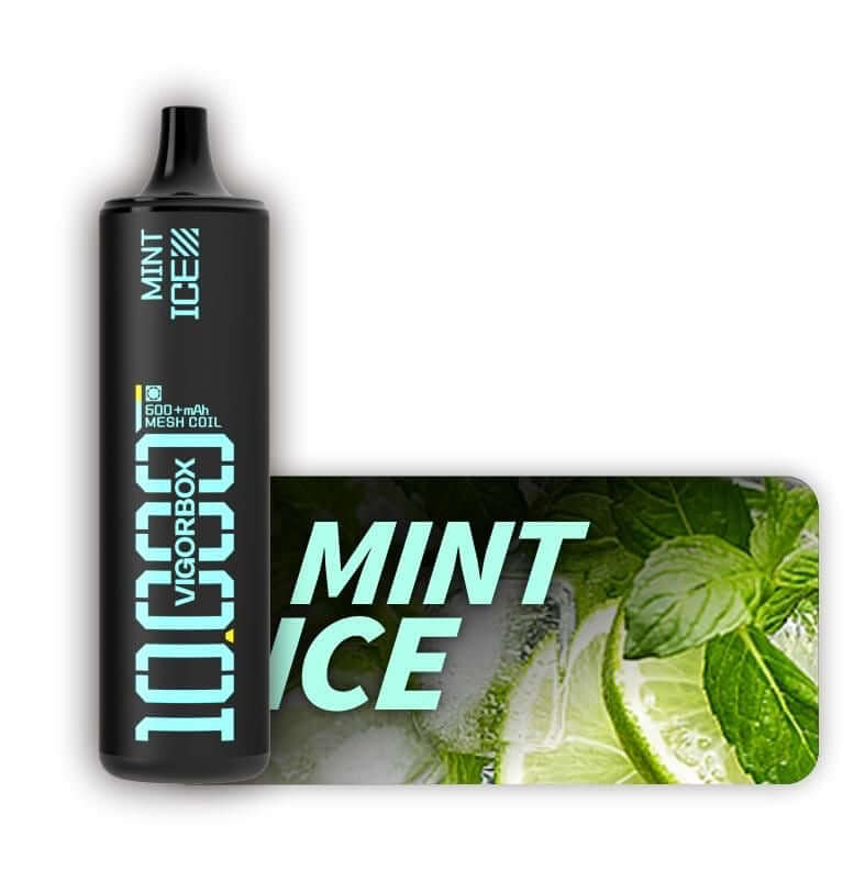 Vigorbox Mint Ice disposable vape 10000 puffs with mint and ice flavor