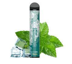 Vozol Refreshing Mint vape with mint leaves and ice cubes
