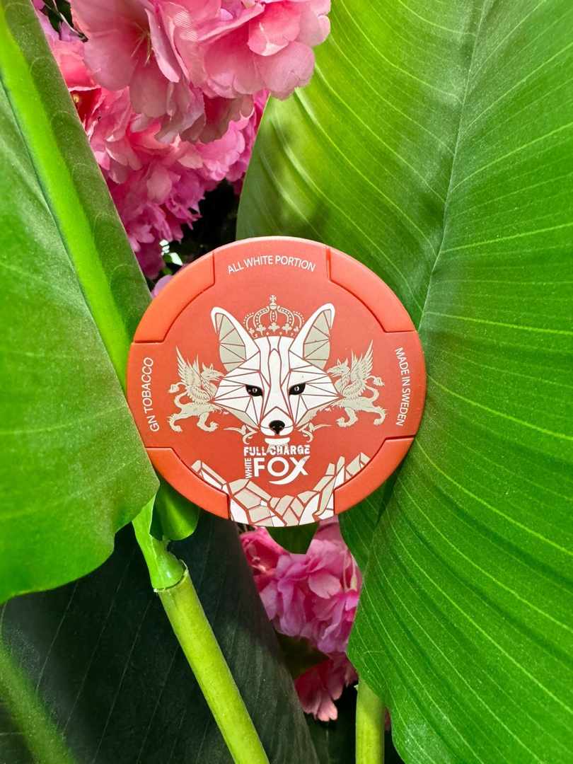 White Fox Full Charge nicotine pouches red can on green leaves