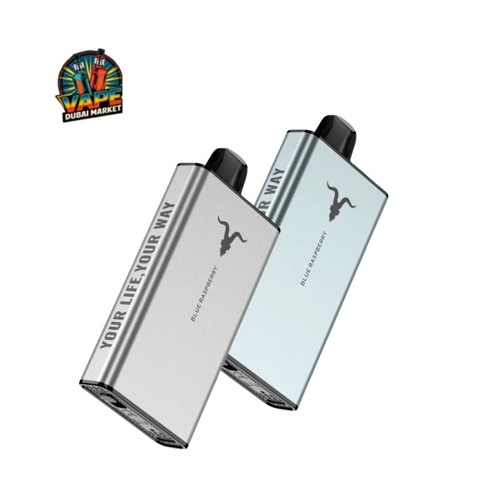 IGNITE – ICE 40K Disposable Vape 40,000 Puffs
