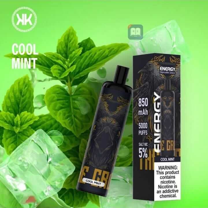 KK Energy 5000 puffs disposable vape Cool Mint flavor with mint leaves