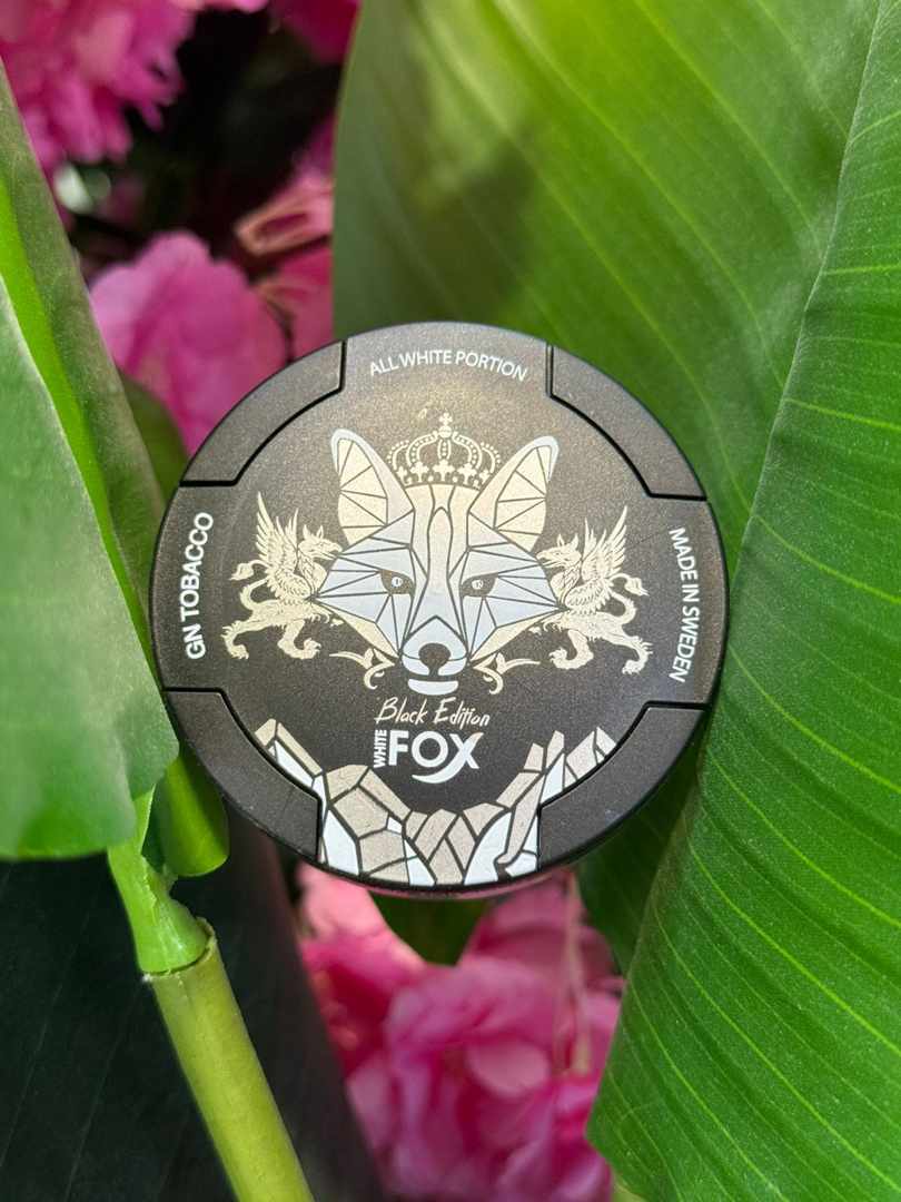 White Fox Black Edition nicotine pouches can on tropical leaves